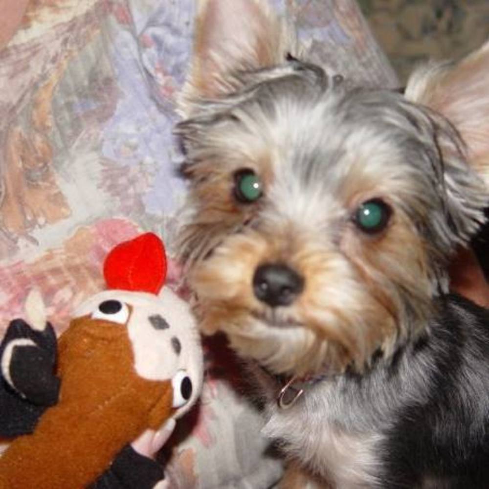 Meet your Posher, Joann